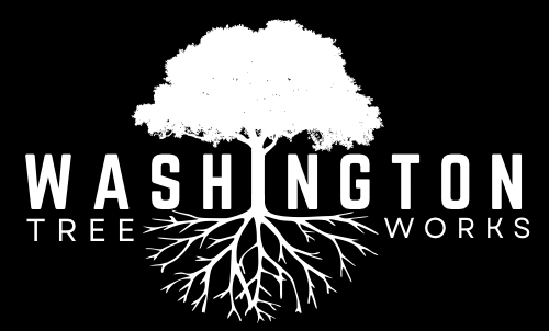 Washington Tree Works